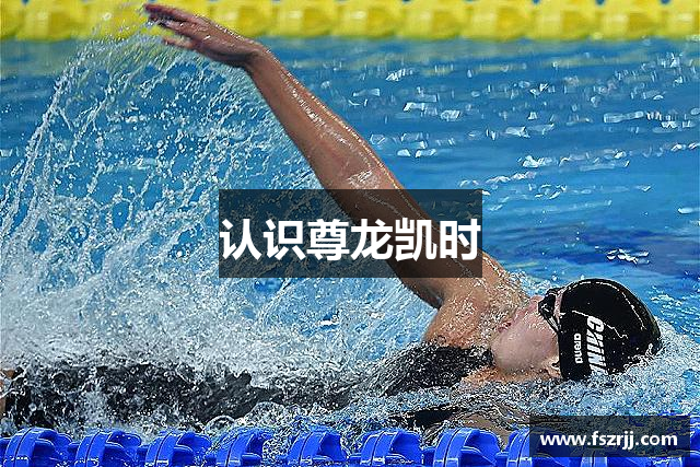 认识尊龙凯时